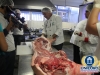 palestra-suinos-32