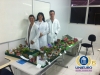 maquetes3